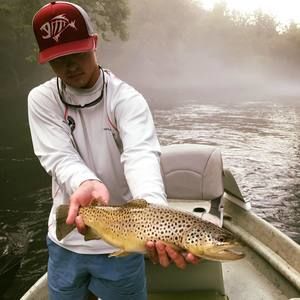 Meet your Posher, Hunter